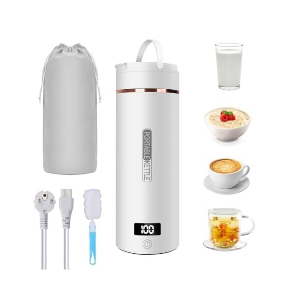 Bouilloire Portable de Voyage, Mini Bouilloire Électrique en Acier Inoxydable 316 avec 6 Témpérature Réglable, 450ML 3 en 1 T