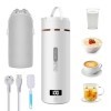 Bouilloire Portable de Voyage, Mini Bouilloire Électrique en Acier Inoxydable 316 avec 6 Témpérature Réglable, 450ML 3 en 1 T