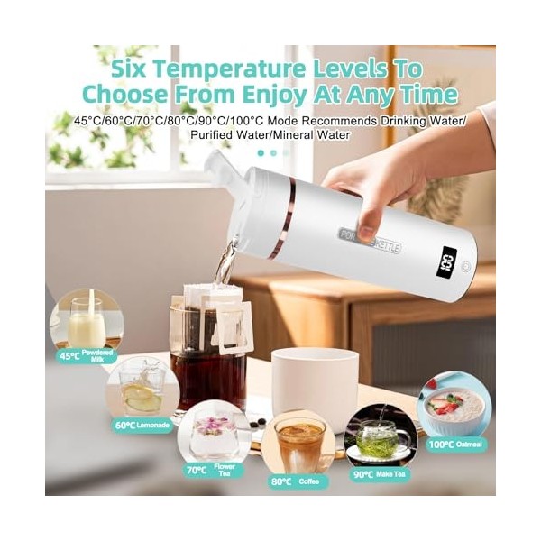 Bouilloire Portable de Voyage, Mini Bouilloire Électrique en Acier Inoxydable 316 avec 6 Témpérature Réglable, 450ML 3 en 1 T