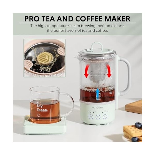 BUYDEEM K314 Travel Electric Kettle, Mini Healthy-Care Beverage Kettle, Machine à thé avec verre allemand Schott & Durable Pr