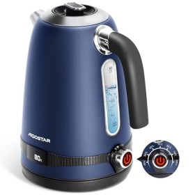 Aigostar Lori - Bouilloire Electrique inox Temperature Reglable 40°C à 100°C, Vintage Bouilloire électrique Thermostat Réglab