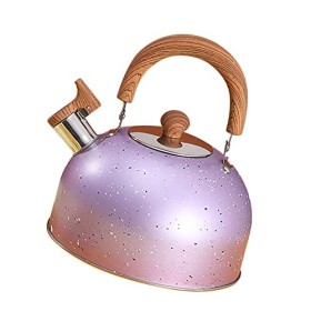 Bouilloire deau en acier inoxydable anti-corrosion pour le bureau violet 