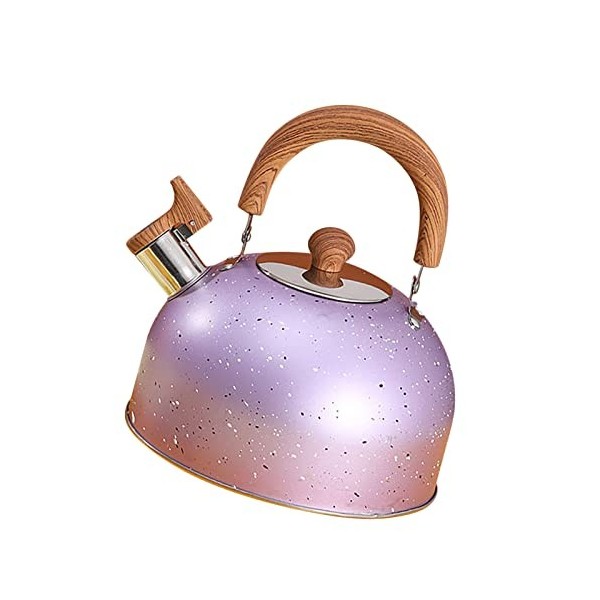 Bouilloire deau en acier inoxydable anti-corrosion pour le bureau violet 