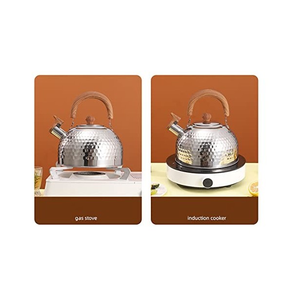 Bouilloire deau en acier inoxydable anti-corrosion pour le bureau violet 