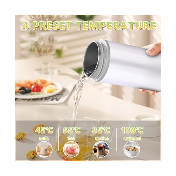 Petite bouilloire de voyage, tasse à eau électrique, 475 ml/300 W, bouilloire portable, mini tasse deau avec réglage de la t