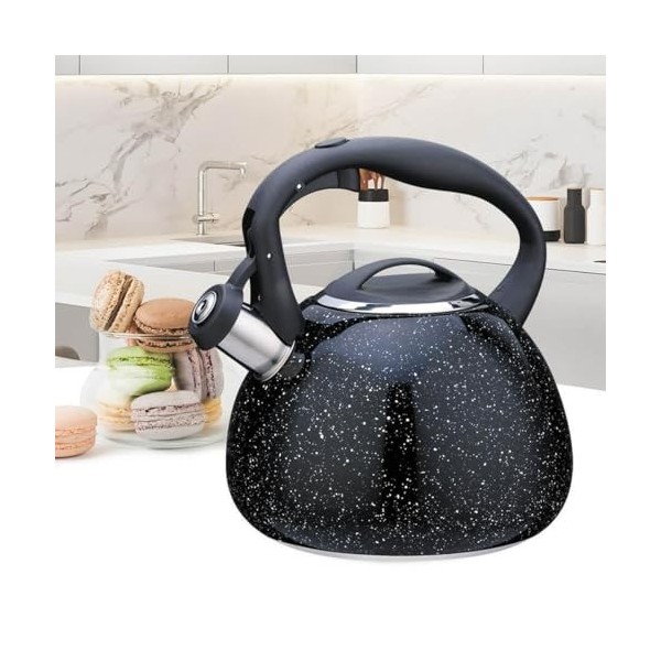 Feel Maestro Théière MR-1310 Noir Acier inoxydable 2,5 L