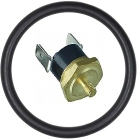 Thermostat + joint Frog disponible 95 degrés ou 165 degrés de rechange pour machine à café FROG 95 degrés + garniture 