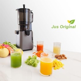 Charmline Extracteur de Jus de Fruits et Légumes avec Goulotte dAlimentation de 130mm, Facile à Nettoyer Centrifugeuse Extra