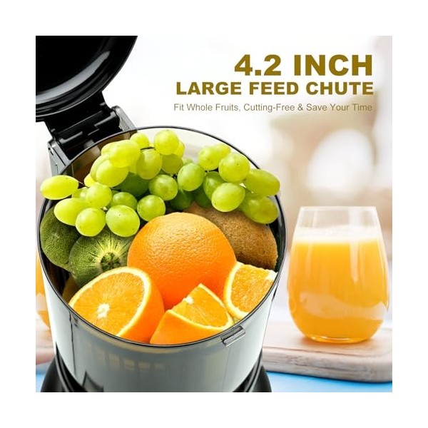 Extracteur de jus 250W Extracteur de jus de fruits et légumes 2 filtres sans métal Centrifugeuse extracteur de jus Lent avec 