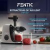 Fentic Extracteur de Jus – Horizontal Centrifugeuse Extracteur avec Fonction Inversée – Extracteur de Jus de Fruits et Légume