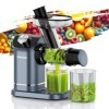 Muchen Slow Juicer Vainqueur du test de fruits et légumes Moteur silencieux 150 W, broyage inversé, nettoyage facile, design 