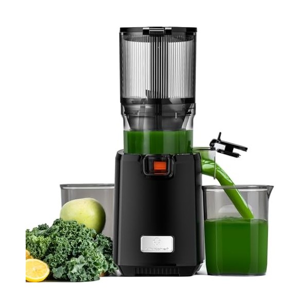 LINKChef Extracteur De Jus de Fruits et Légumes Entiers, 130MM Calibre et 1.8L Capacité Centrifugeuse, 250W Slow Juicer Machi