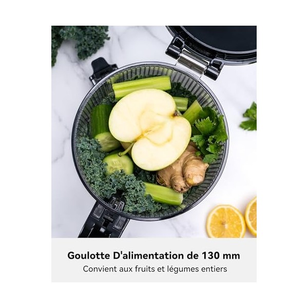 LINKChef Extracteur De Jus de Fruits et Légumes Entiers, 130MM Calibre et 1.8L Capacité Centrifugeuse, 250W Slow Juicer Machi