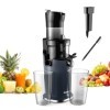 Biolomix Centrifugeuse Slow Juicer 7.8CM à cheminée large 200W Centrifugeuse de légumes et de fruits - Centrifugeuse à pressi