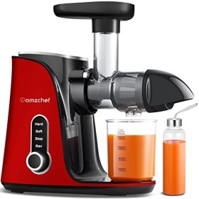 AMZCHEF Extracteur de Jus avec Double Vitesse Modes Soft et Hard - Extracteur de Jus de Fruits et Légumes - Juicer Machine 