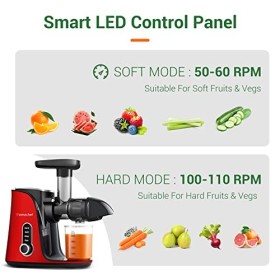 AMZCHEF Extracteur de Jus avec Double Vitesse Modes Soft et Hard - Extracteur de Jus de Fruits et Légumes - Juicer Machine 