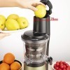 Wiltal Slow Juicer Centrifugeuse électrique pour fruits, légumes, grenade, agrumes, sorbets, 76 mm avec large bouche sans BPA