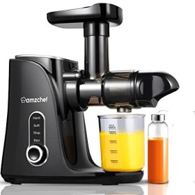 AMZCHEF Extracteur de Jus avec Double Vitesse Modes Soft et Hard - Extracteur de Jus de Fruits et Légumes - Juicer Machine 