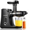 AMZCHEF Extracteur de Jus avec Double Vitesse Modes Soft et Hard - Extracteur de Jus de Fruits et Légumes - Juicer Machine 