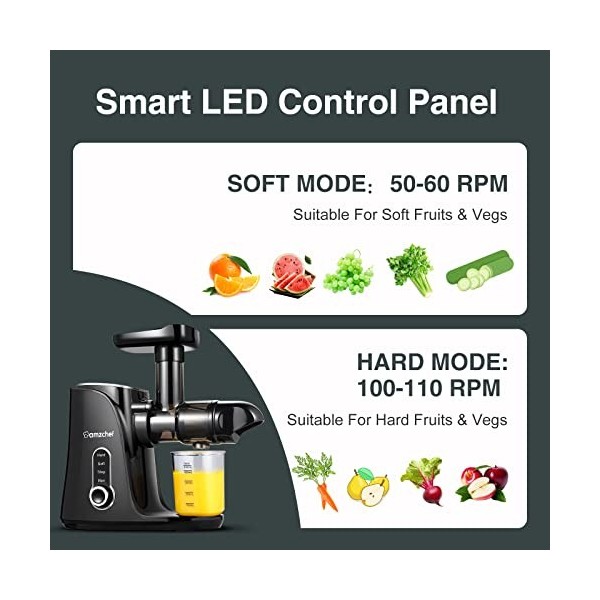 AMZCHEF Extracteur de Jus avec Double Vitesse Modes Soft et Hard - Extracteur de Jus de Fruits et Légumes - Juicer Machine 