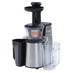 RGV 110900 Juice Art Extracteur de jus, 400 W, argenté