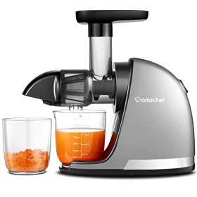 AMZCHEF Extracteur Jus - Extracteur de Jus de Fruits et Légumes - Presses-agrumes à Froid sans BPA avec 2 Tasses et Brosse - 