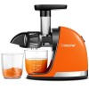 AMZCHEF Extracteur Jus - Extracteur de Jus de Fruits et Légumes - Presses-agrumes à Froid sans BPA avec 2 Tasses et Brosse - 