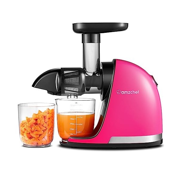 AMZCHEF Extracteur Jus - Extracteur de Jus de Fruits et Légumes - Presses-agrumes à Froid sans BPA avec 2 Tasses et Brosse - 