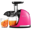 AMZCHEF Extracteur Jus - Extracteur de Jus de Fruits et Légumes - Presses-agrumes à Froid sans BPA avec 2 Tasses et Brosse - 