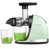 AMZCHEF Extracteur Jus - Extracteur de Jus de Fruits et Légumes - Presses-agrumes à Froid sans BPA avec 2 Tasses et Brosse - 