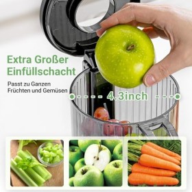 Centrifugeuse parfaite pour les fruits et légumes entiers