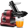 AMZCHEF 80MM Large Juicer - Slow Juicer avec 2 réglages de vitesse et fonction de rembobinage - 150 watt juicer pour légumes 