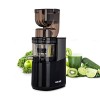 Extracteur de Jus BioChef Atlas Whole Slow Juicer Pro - Moteur Puissant 350W & 40 TR/Min | Grande Ouverture 8cm x 8cm | Polyv