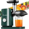 Aobosi Blender pressé à froid, extracteur de jus et fruits avec moteur silencieux, gobelet à jus et brosse de nettoyage, sans
