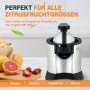Augosma Presse-agrumes électrique de haute qualité, adapté aux oranges, citrons et pamplemousses, acier inoxydable brossé, fa