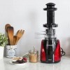 Tribest Slowstar Slow Juicer - Centrifugeuse verticale pour légumes et fruits - 47 tr/min, 200 W - Presse-agrumes électrique 