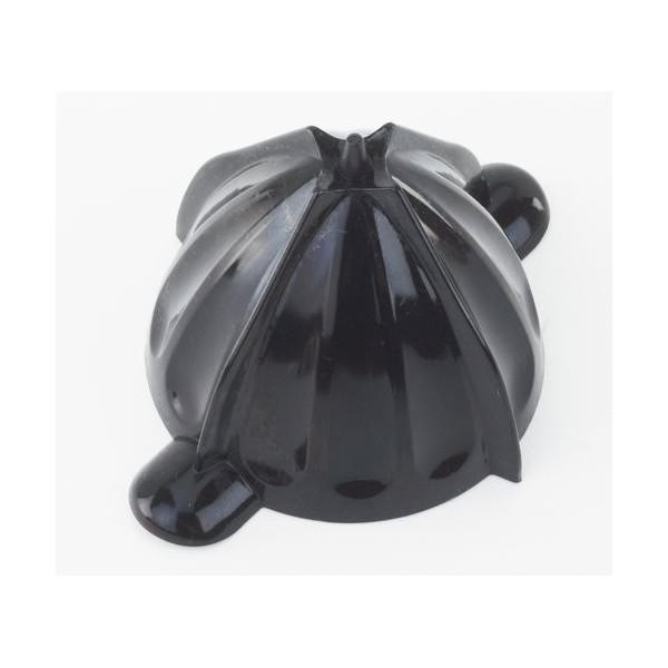 Rgv Presse-agrumes Edelstahlhebel 120 W