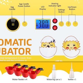 12 Propriétaire Incubateur
