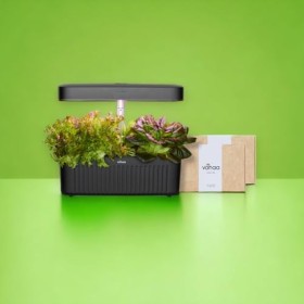 Vahaa Smart Garden - Noir