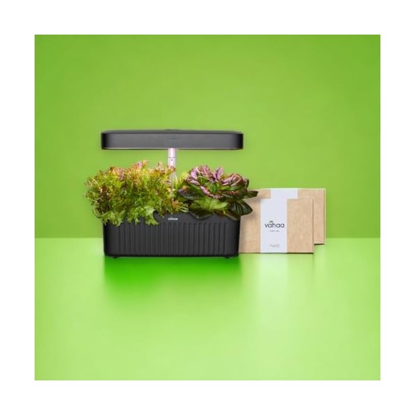 Vahaa Smart Garden - Noir