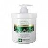 Advanced Clinicals Collagen Skin Rescue Lotion By , 454 G Lot De 1 