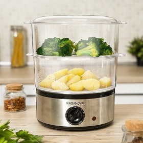 Vapeur électrique 2 niveaux 450 W