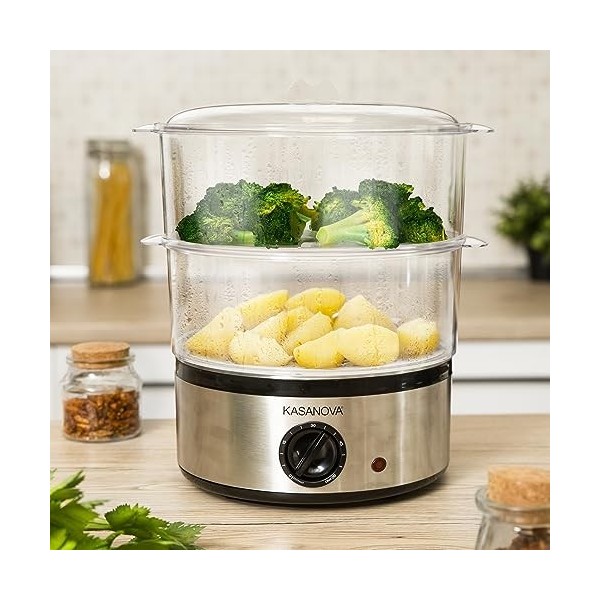 Vapeur électrique 2 niveaux 450 W