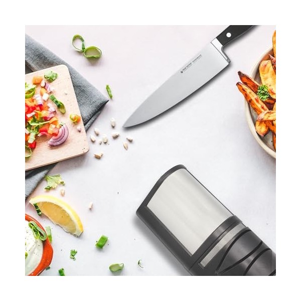 FISHTEC Aiguiseur de Couteaux de Cuisine Electrique - Affûtage + Polissage à 2 Niveaux - Couteau Métal ou Céramique - Disques