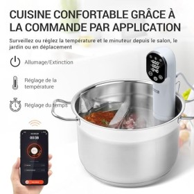 LEBENLANG Stick Sous Vide 1200W - Contrôle par Application & Timer Intégré I Pour viande poisson légumes I Thermoplongeur The