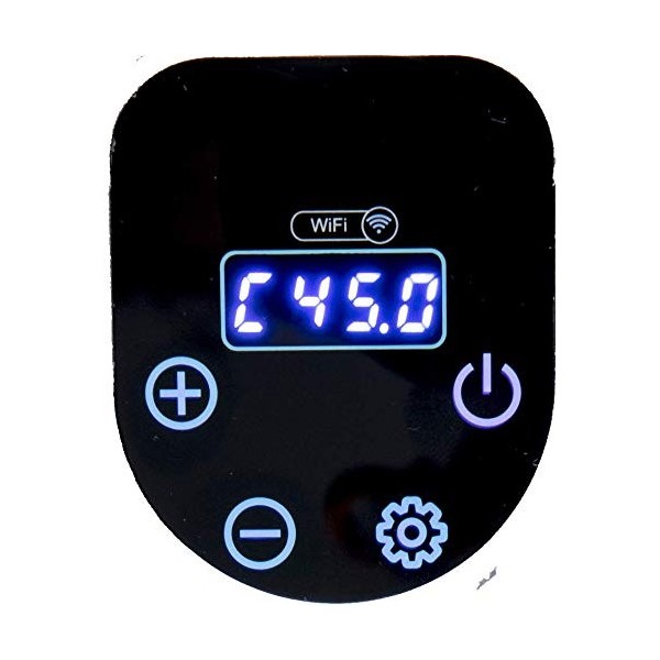 Gastronoma 18310009 Cuiseur sous vide WiFi - Application en allemand - 1000 W - Design en acier inoxydable