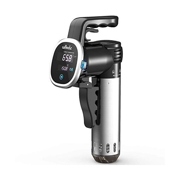 Wancle Dispositif Sous Vide pour la circulation de la température et la cuisson précise Noir