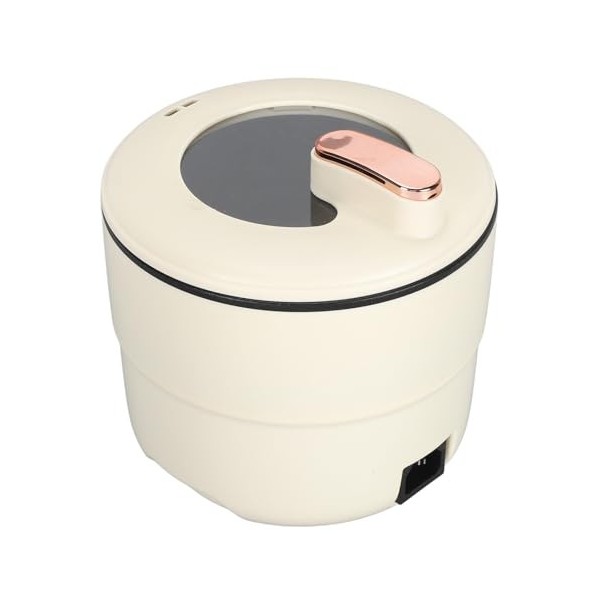 Fabricant de Cuiseur à Riz, Cuiseur à Riz électrique 300 W pour la Cuisson à la Vapeur Prise UE 100 à 240V 