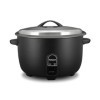 Cuiseur Riz 4.2 L TCR-4266 TECHWOOD, noir