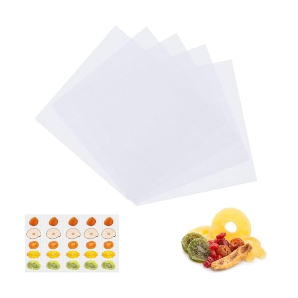 6 Pièces Feuilles Déshydrateur Silicone, Anti-Adhésif Tapis Silicone, Maille Séchoir à Fruits, 28,5 x 38,5 cm Réutilisable An